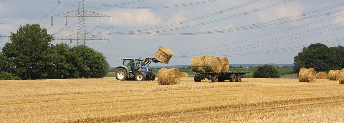Landwirtschaft Fotos Geilenkirchen