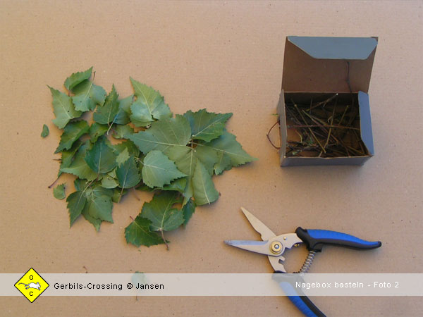 Rennmaus Nage-Box gegen Langeweile