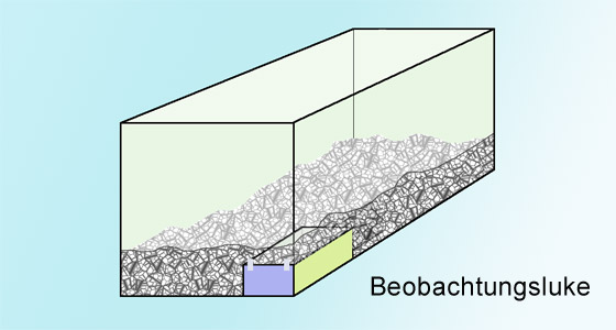 Rennmaus Schlafnest mit Beobachtungsluke