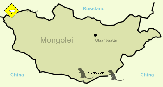 Rennmaus Wüste Gobi Mongolei